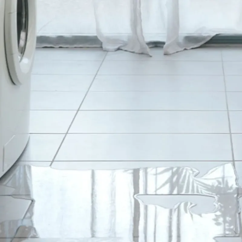 Appliance Leak Cleanup in Ensley, FL
