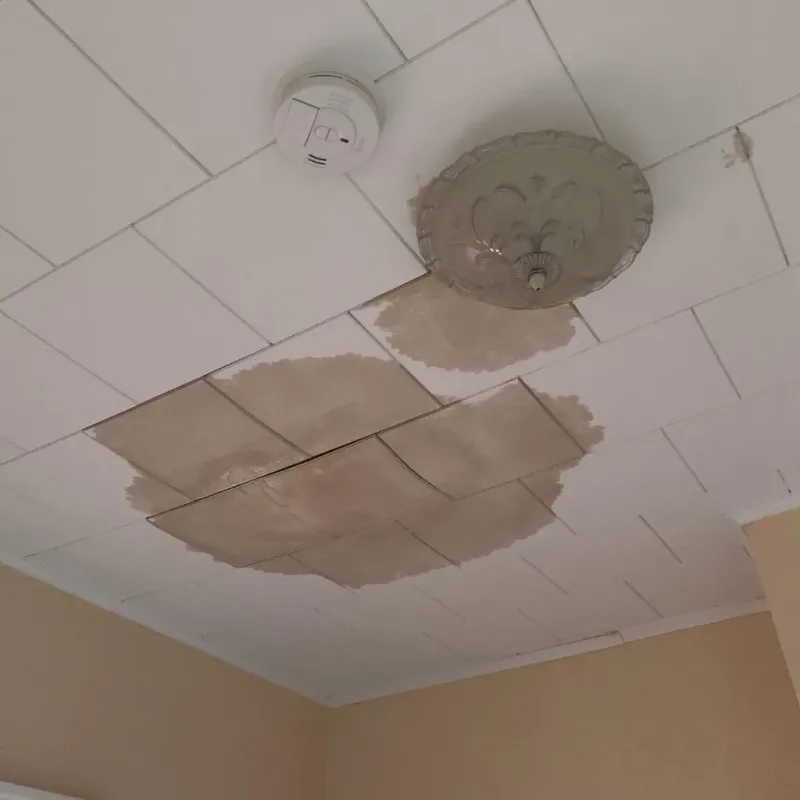Ceiling Water Damage Repair in Ensley, FL